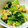 mariko1713's cooksnap of when they made さっと炒めて☆青梗菜の卵とじ.