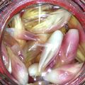 ぷどるん's cooksnap of when they made みょうがの甘酢漬け！箸休めにもピッタリ！.