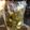 aki's cooksnap of when they made 簡単♪ハラペーニョピクルス.