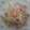 kumiれぽ's cooksnap of when they made 簡単☆もやしとベーコンの炒め物.