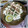 ＴＯＭＯＷＡＴ's cooksnap of when they made 豆腐のかつおタタキ風.