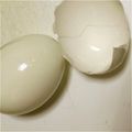 ちぃやんです's cooksnap of when they made 簡単なゆで卵の作り方.