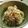 ジローマル's cooksnap of when they made ☆ずぼらな私の牛丼☆.