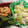 きらり流れ星's cooksnap of when they made 簡単！！　ほうれん草！！　激ウマ炒め！！.