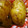 しょーこり's cooksnap of when they made 懐かしのいももち.
