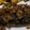 主婦T's cooksnap of when they made 塩鯖のレモンオニオンソース.