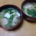 うのっこリー's cooksnap of when they made つみれ鍋風味噌汁.