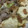 masu1004's cooksnap of when they made 豆腐のオイマヨ炒め.