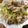 ナイーブ✨'s cooksnap of when they made ワンパン無水豚もやし.