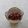 お菓子ダイスキ's cooksnap of when they made 金時豆のあっさり煮.