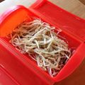 shikinagi's cooksnap of when they made もやしのピリ辛ナムル.