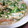 セイコモ１０３'s cooksnap of when they made ちくわとゴボウの卵とじ.