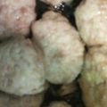 こうめ☆らて's cooksnap of when they made 豆腐とエノキのふわふわ鶏ハンバーグ.