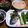 ちっぴーマム's cooksnap of when they made ※ インゲンのオイスターソース炒め ※.