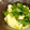 ☆Kayorina☆'s cooksnap of when they made 豆腐のとろとろ炒め。香菜たっぷり。.