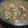 オギーとガムボール's cooksnap of when they made ✽簡単♪あさりの酒蒸しスープ✽.