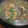 オギーとガムボール's cooksnap of when they made ✽簡単♪あさりの酒蒸しスープ✽.