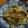 かーち☆'s cooksnap of when they made もやしの塩こんぶ和え.