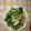 ☆見習いともにゃん☆'s cooksnap of when they made 小松菜と油揚げの煮びたし.