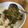 しゅうう's cooksnap of when they made 夏バテに節約&疲労回復！ニラのスタミナ丼.