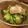 かよひこ's cooksnap of when they made ○ゆずこしょうポン酢がけきゅうり○.