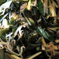 sbal's cooksnap of when they made キュウリともやしとワカメの和え物♪.