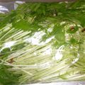 六松なずな♧'s cooksnap of when they made 水菜の簡単漬け.