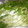 六松なずな♧'s cooksnap of when they made 水菜の簡単漬け.