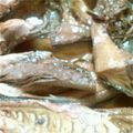 紗重桂's cooksnap of when they made 簡単☆カツオの角煮.