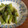 ワルヂエ's cooksnap of when they made アスパラガスのゆずこしょう和え.