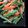 kumasako's cooksnap of when they made 菜の花の胡麻和え.