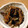 piy_cafe＊'s cooksnap of when they made しいたけとひじきと大豆の煮物.