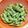 sweetpia's cooksnap of when they made 豆の風味抜群！！･･･な枝豆のゆで方。.