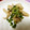 みじゅ★'s cooksnap of when they made 鶏皮をポン酢でささっと.
