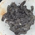 マダムユキ's cooksnap of when they made 大根ナムル（ゴマ味）.