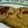 フント's cooksnap of when they made ゆず入り豚のしょうが焼き.