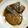 ayafuyu's cooksnap of when they made ヨシダソースでぶり照り.