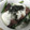 stw's cooksnap of when they made うなとろ丼.