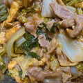 テヌキン☆'s cooksnap of when they made 　簡単　白菜と豚肉のカレー煮　.