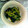 お菓子ダイスキ's cooksnap of when they made 小松菜のごま和え.