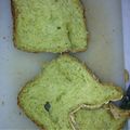 aska1003's cooksnap of when they made GOPANでほうれん草パン★食パンだって.