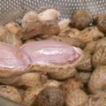 るドルフ's cooksnap of when they made 茹で落花生　圧力鍋で簡単に^^.