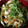 みぃきゃっと's cooksnap of when they made ちくわと豆苗の和え物.