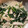 suiseikun's cooksnap of when they made 簡単！ささみとニラのごまサラダ.