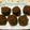 R．ハッシー's cooksnap of when they made 簡単フィナンシェ☆ココア☆.
