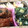 パンダ☆料理ヘター's cooksnap of when they made お弁当ちくわとほうれん草のバターソテー♡.