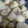 Lily71's cooksnap of when they made 下茹で不要で簡単♪里芋の煮っころがし.