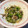 n_ri_o's cooksnap of when they made 【レンジで簡単】もやしと豆苗の塩昆布和え.