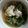 てぃちゃん0004's cooksnap of when they made 水菜と豚肉のハリハリ煮.