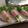 テスラ—大王's cooksnap of when they made かいわれ＆チーズのソフトサラミ巻.